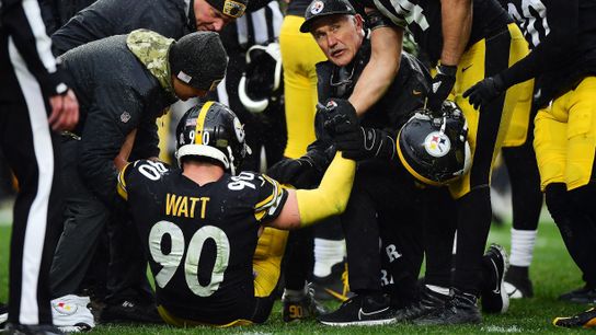 Watt (hip, knee), Haden (foot), two offensive linemen go down taken at Heinz Field (Steelers)